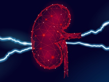 Read more about the article O que é transplante renal?